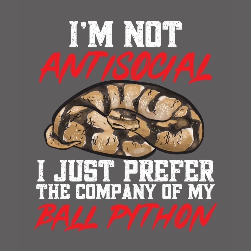 Ball Python Schlange Königspython