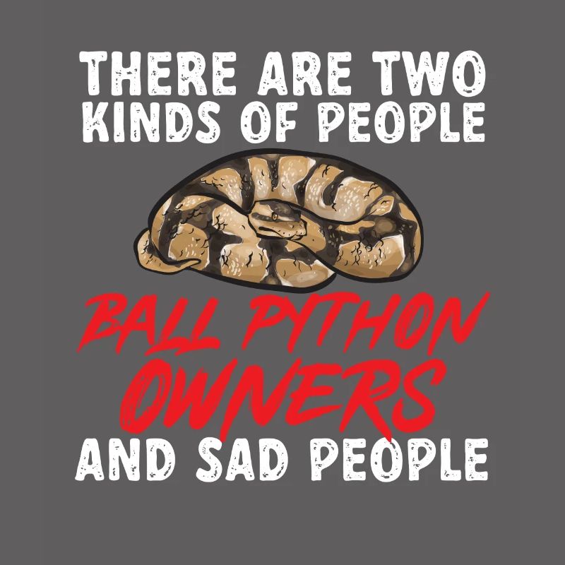 Ball Python Schlange Königspython