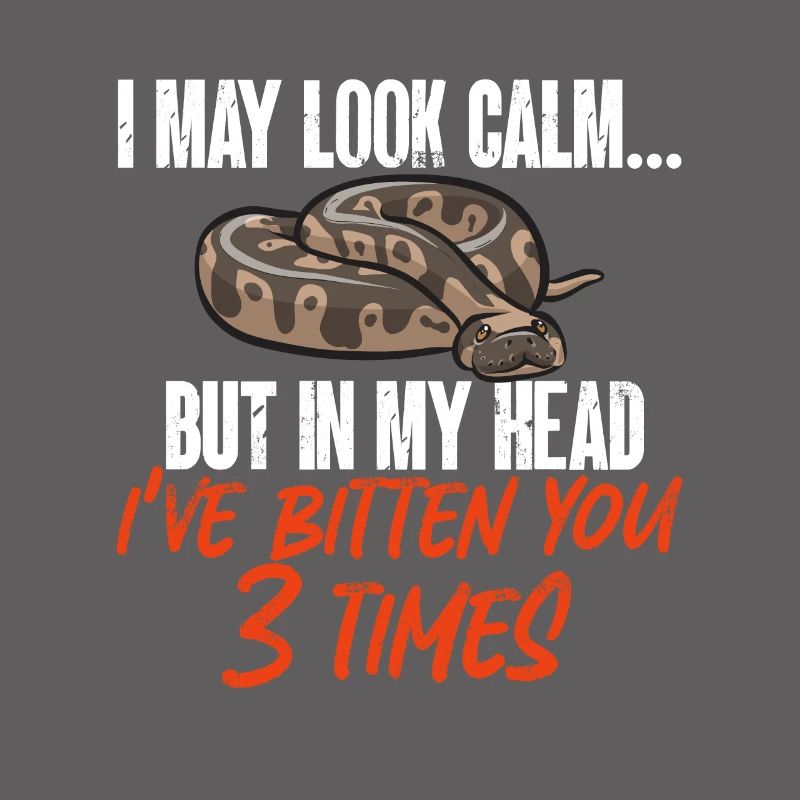 Ball Python Snake King Python