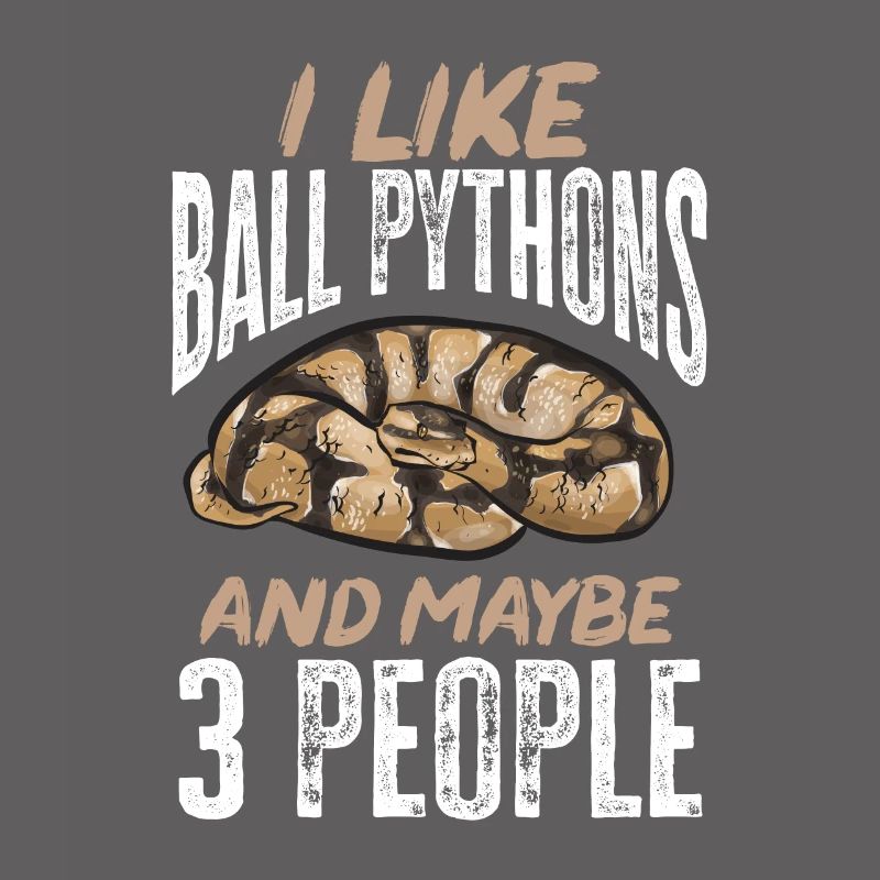 Ball Python Schlange Königspython