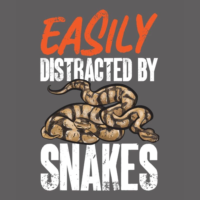 Ball Python Snake King Python