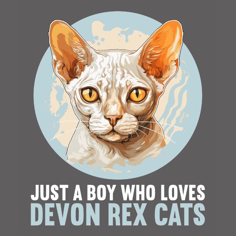 Devon Rex Kätzchen Devon Rex Katze