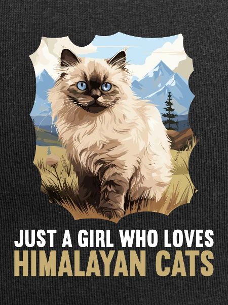 Himalayan Cat Colourpoint Katze