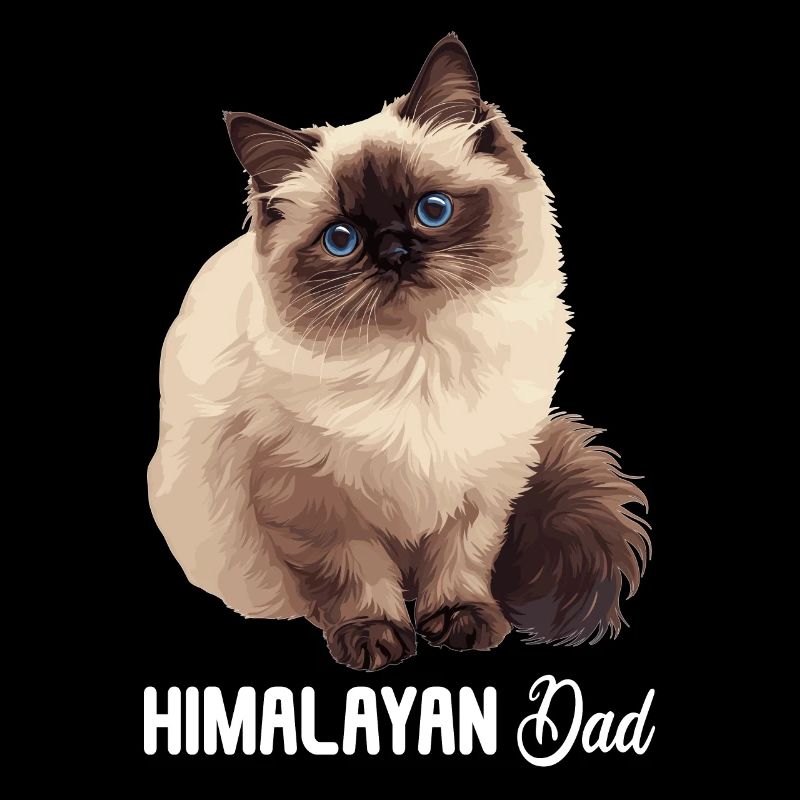 Himalayan Cat Colourpoint Katze