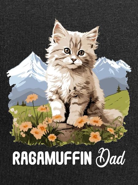Ragamuffin Kitten Ragamuffin Cat