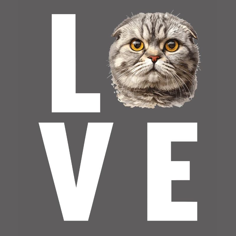 Scottish Fold Kätzchen Scottish Fold Katze