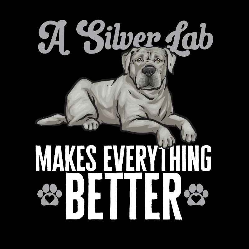 Silver Labrador Retriever Silver Lab