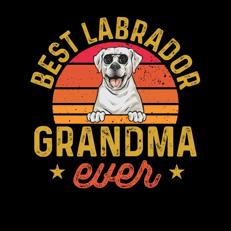 Labrador Retriever blanc Labrador Labrador blanc