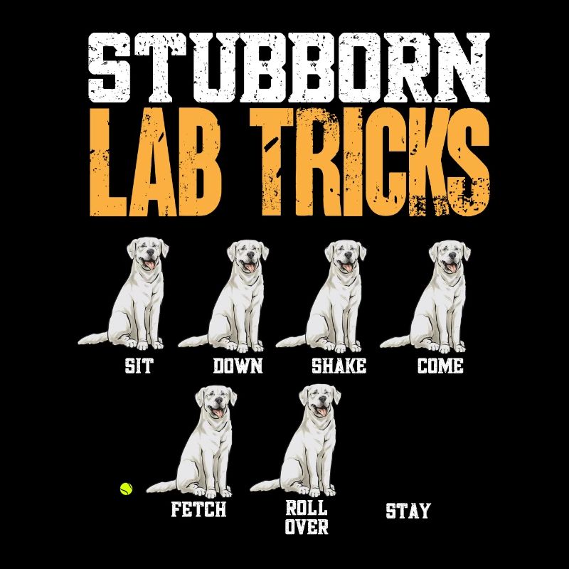 White Labrador Retriever White Lab