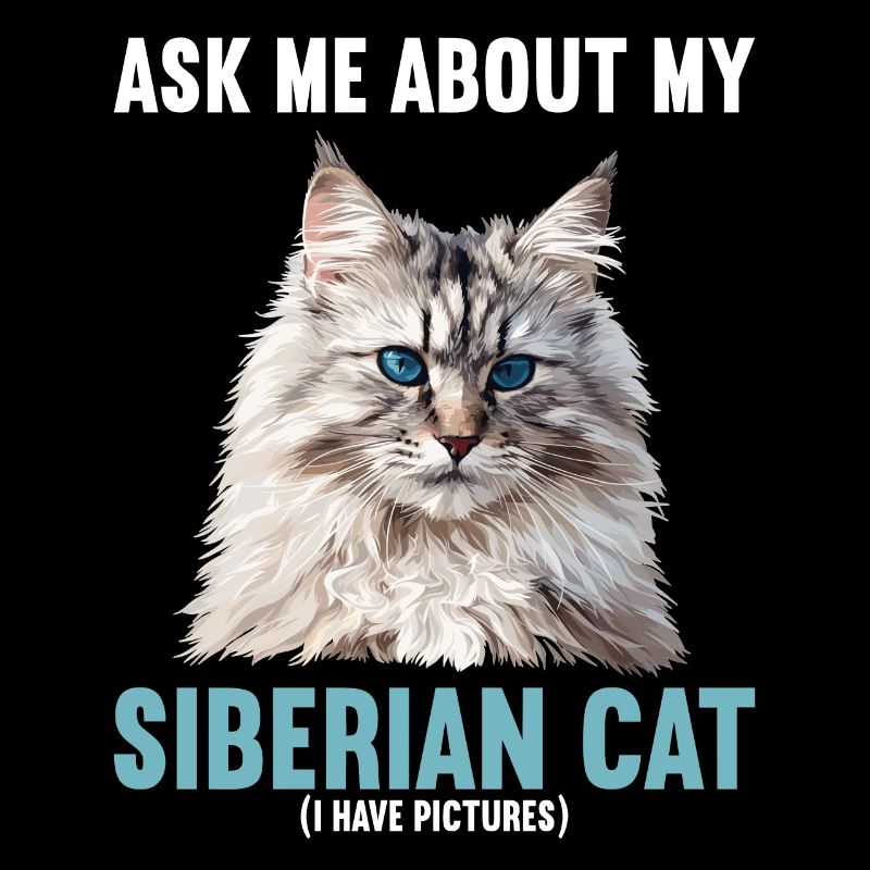 Siberian Cat Sibirische Katze