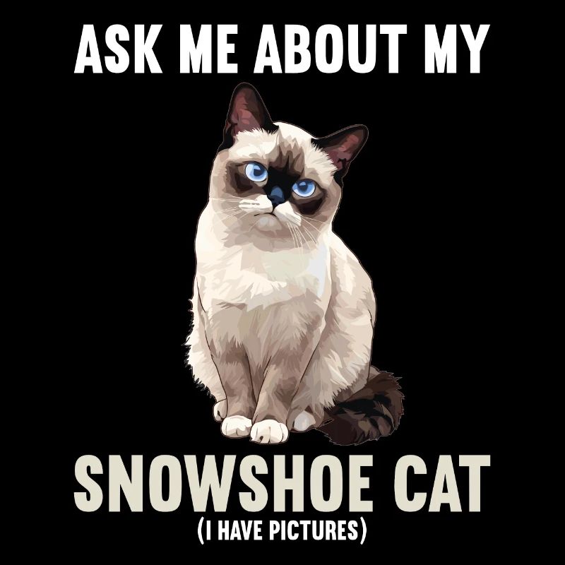 Chaton raquette Chat raquette