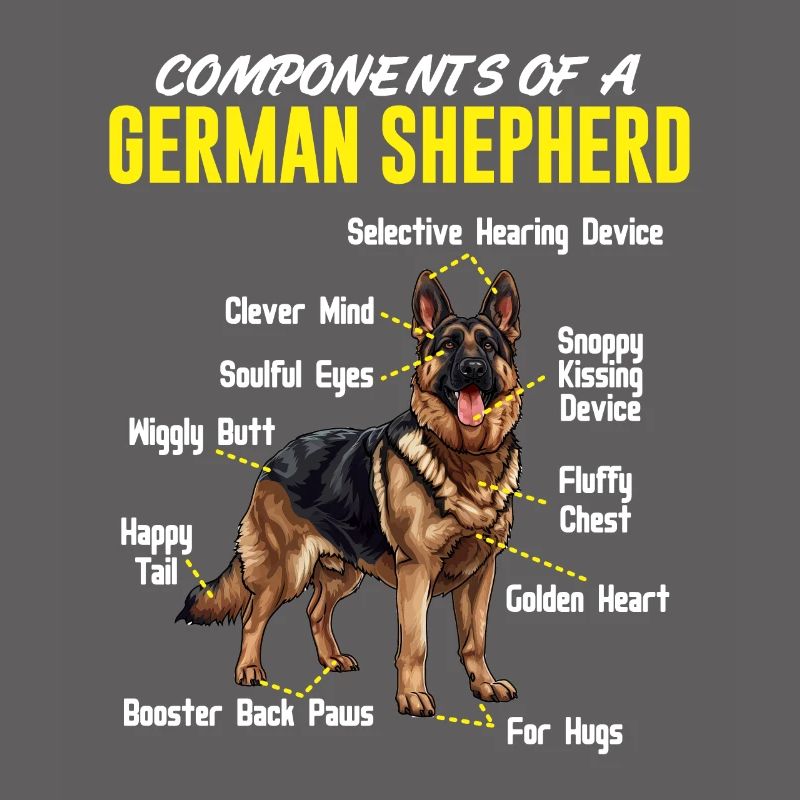 Schäferhund KOMPONENTEN EINES DEUTSCHEN