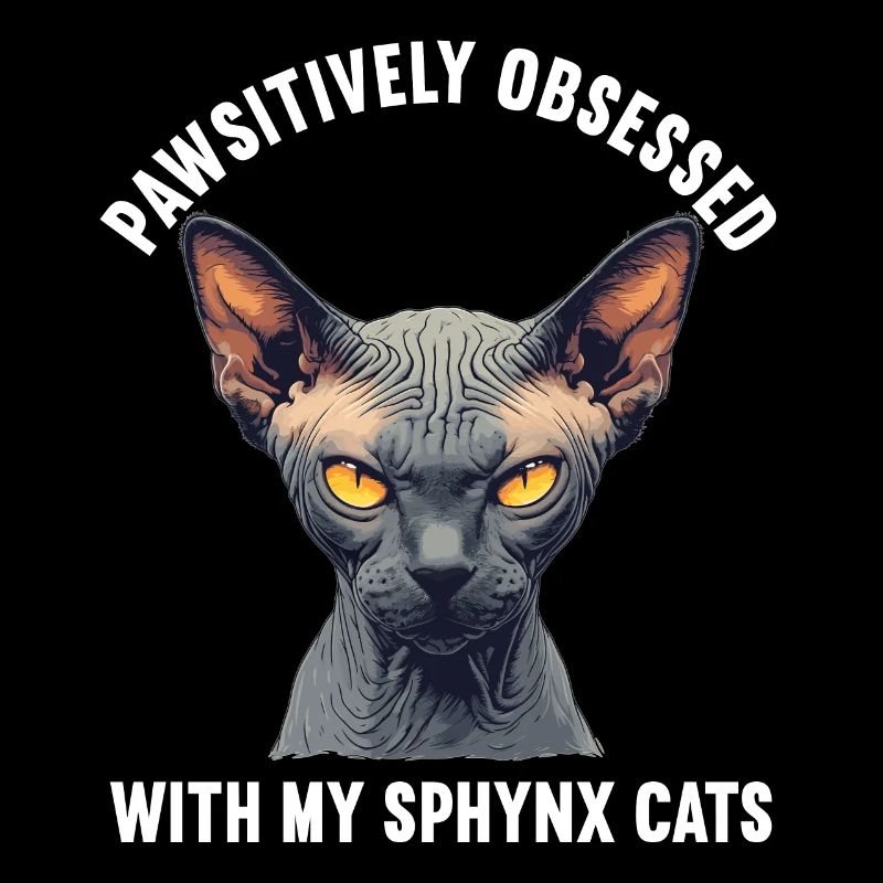 Chaton Sphynx Chat Sphynx