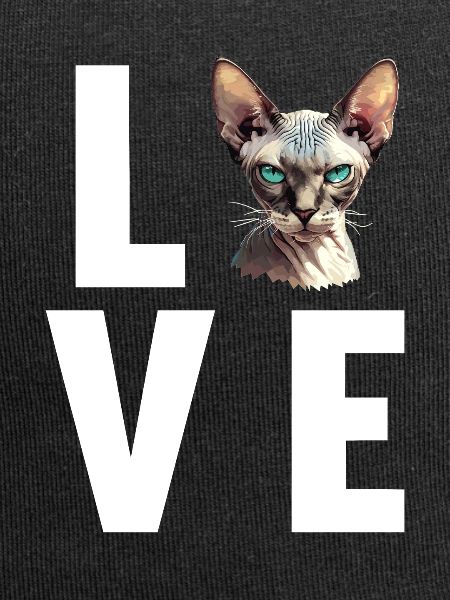 Sphynx Kitten Sphynx Cat