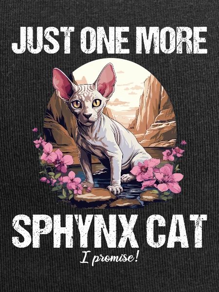 Sphynx Kitten Sphynx Cat