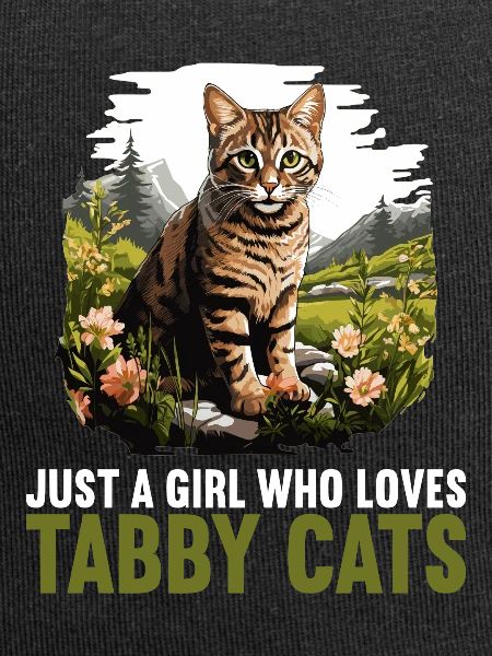 Tabby Kätzchen Tabby Katze