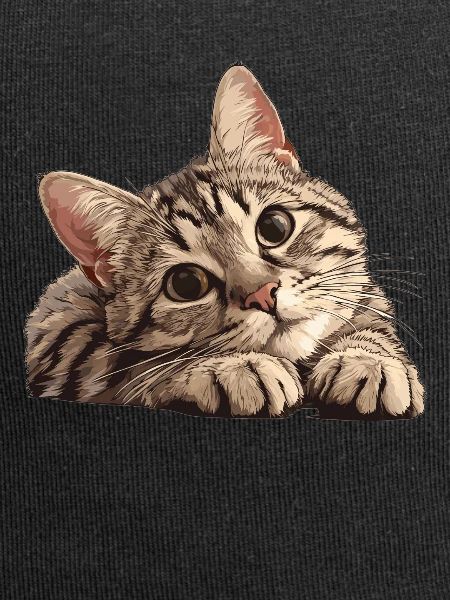 Tabby Kitten Tabby Cat