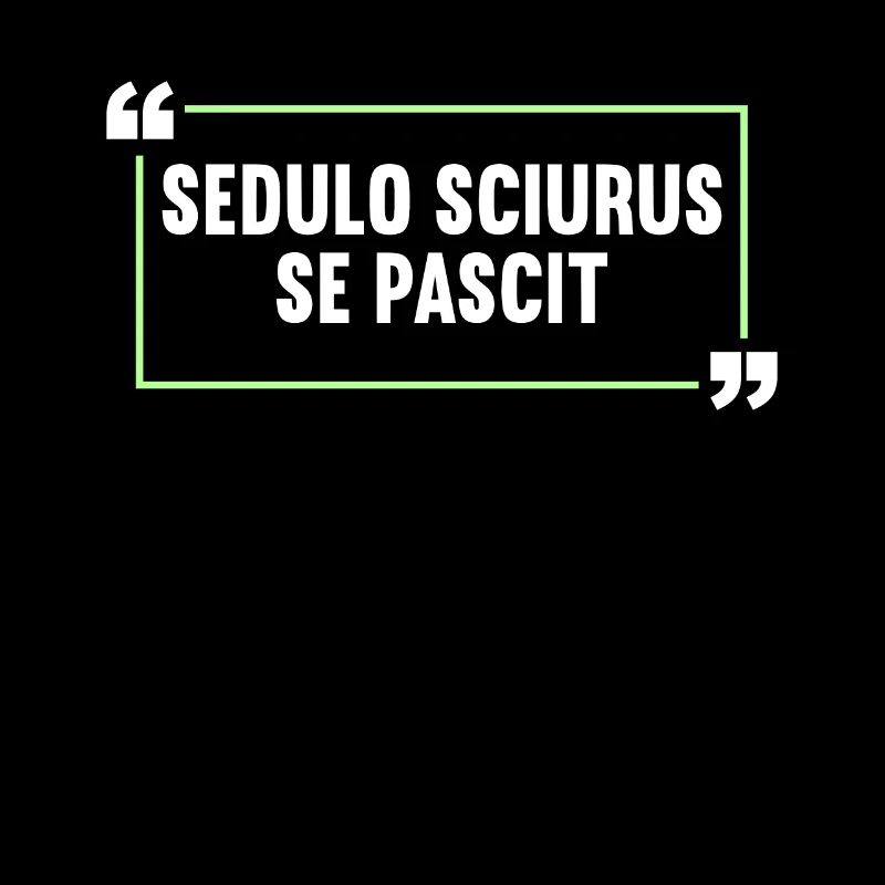 Lateinisch Lustiger Latein Spruch