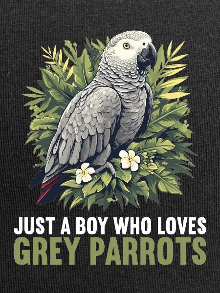 African grey parrots