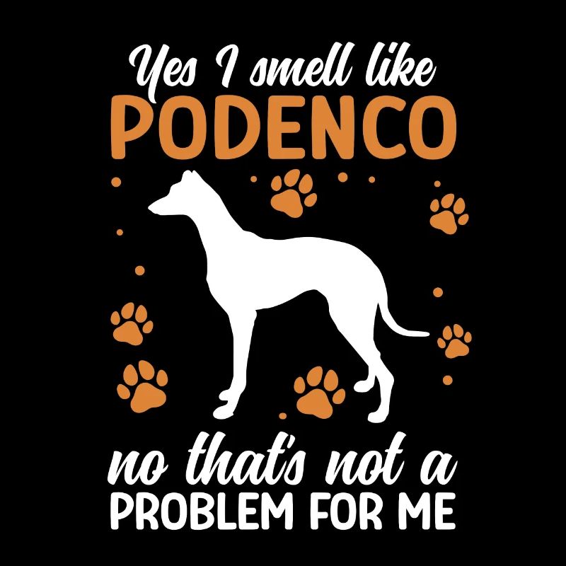Podenco Windhund Rieche nach Podenco