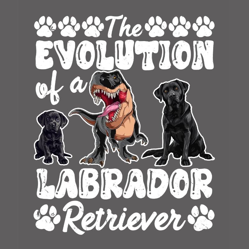 Hundebesitzer DIE EVOLUTION EINES LABRADOR