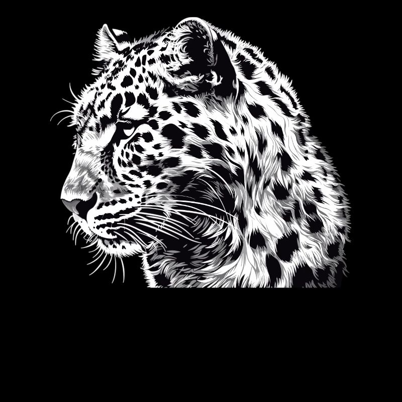 Leoparden Leopard