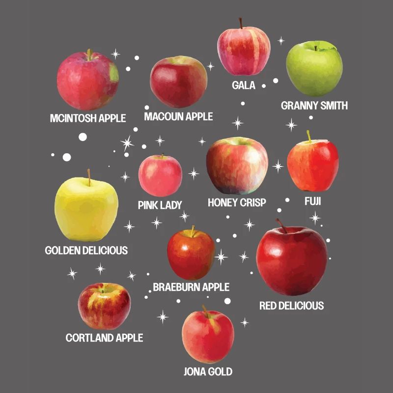 Cool Apple Varieties Different Apples Fruit