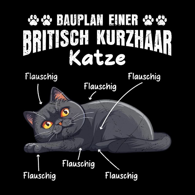 Britisch Kurzhaar BAUPLAN EINER BRITISCH KURZHAAR