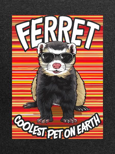 Ferret Coolest Pet On Earth Retro Sunglasses