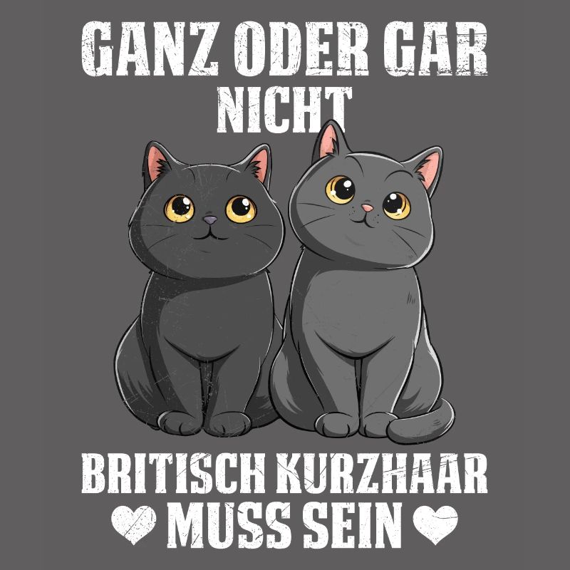 Britische Kurzhaar GANZ ODER GAR NICHT