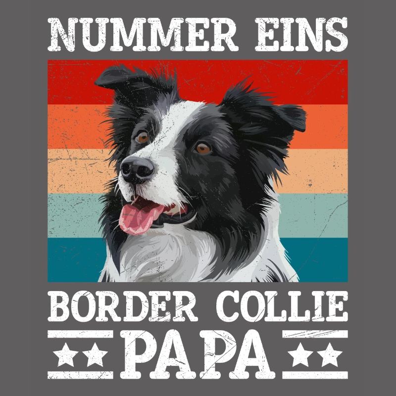 Border Collie NUMMER EINS BORDER COLLIE PAPA