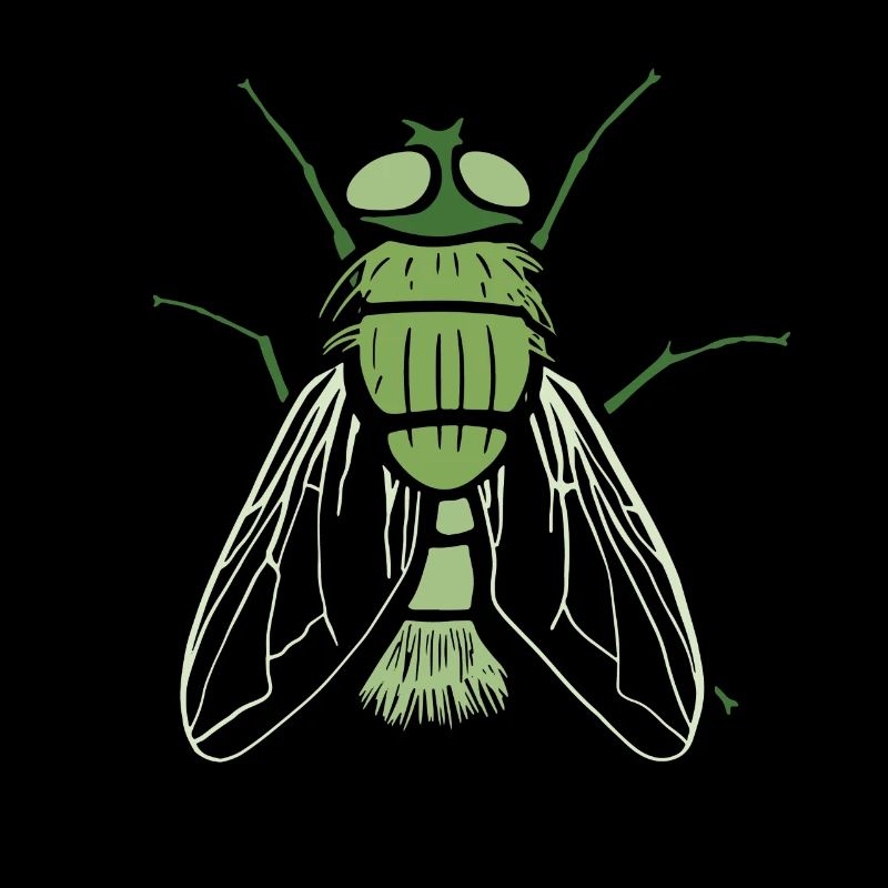 Mouche Insectes Mouche Entomologiste