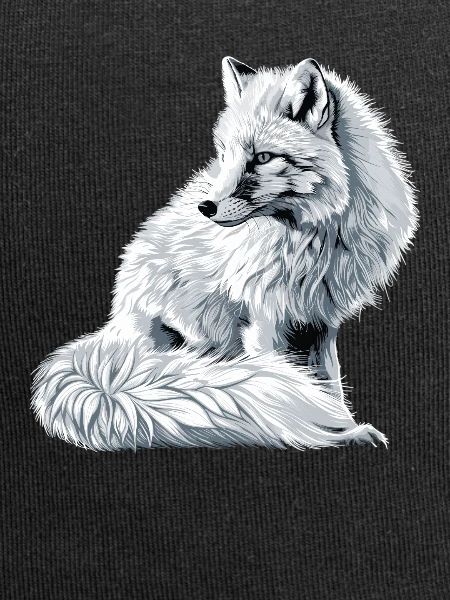 Arctic Fox Polarfüchse Polarfuchs