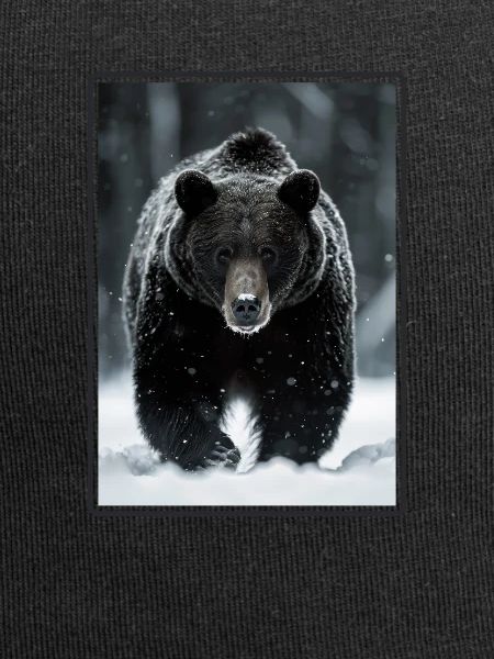 Bear Bären Bär