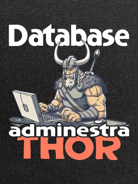 Viking Databaseadministra-thor Nerdy