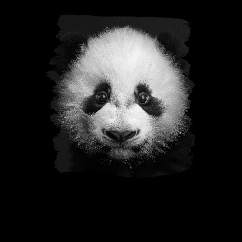 Panda géant Pandas Große Pandas Großer Panda