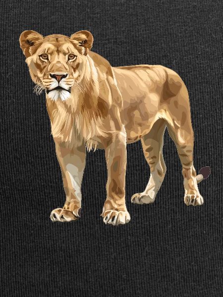 Lioness Lionesses Lioness