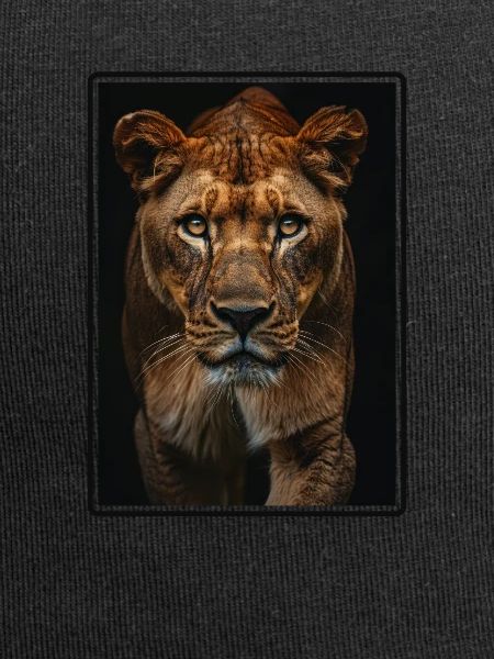 Lioness Lionesses Lioness