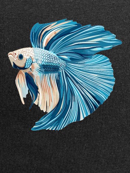 Bettas Betta Fish Betta