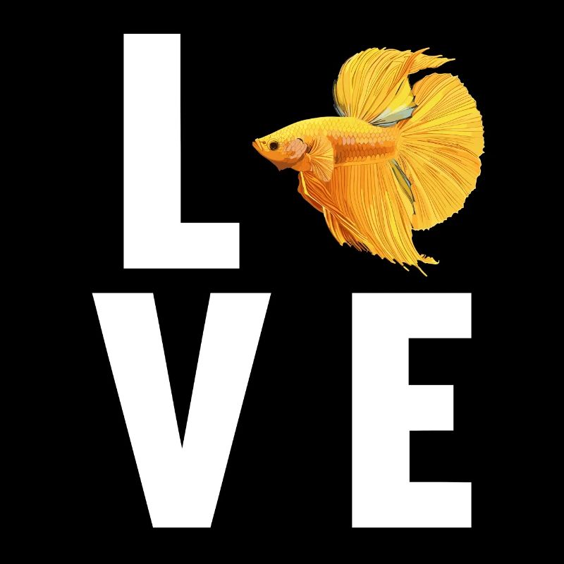 Bettas Betta Poisson Betta