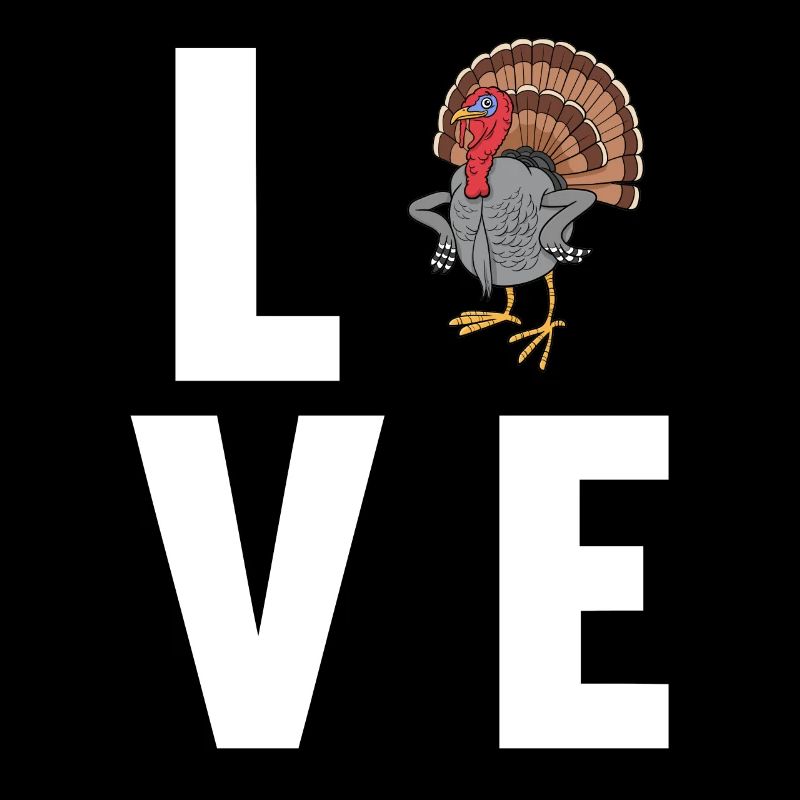 Turkey Turkeys Turkey