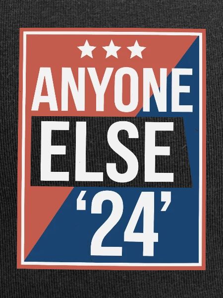 Anyone Else Election 2024