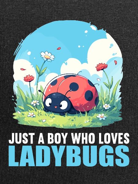 Ladybug Marienkäfer