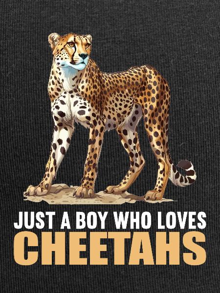 Cheetah Geparde Gepard