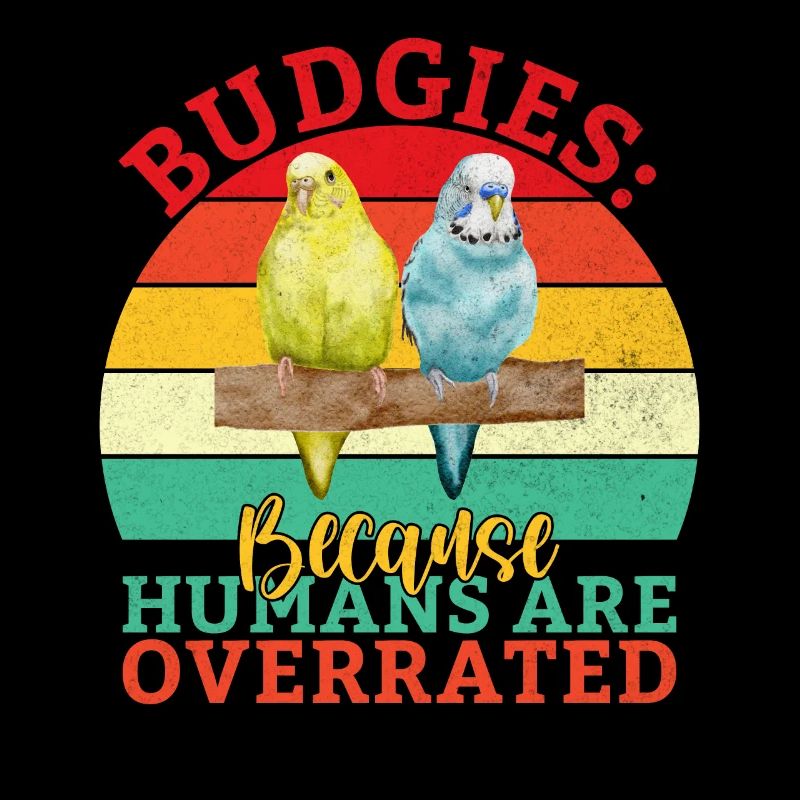 Budgie Gift