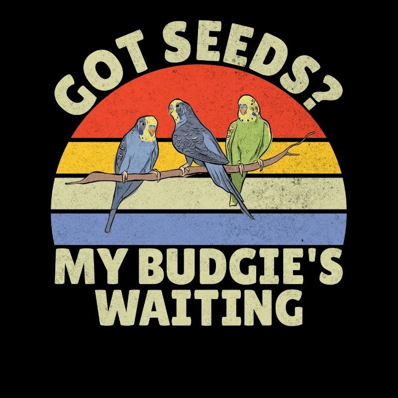 Budgie Gift