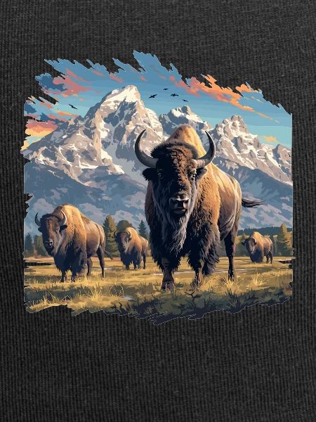Bisons Bison