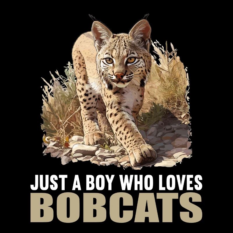 Bobcats Rotluchse Rotluchs Luchs