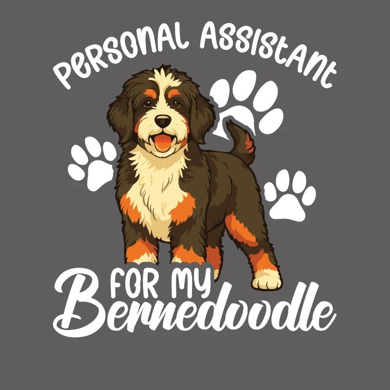 Personal assistant for my Bernedoodle