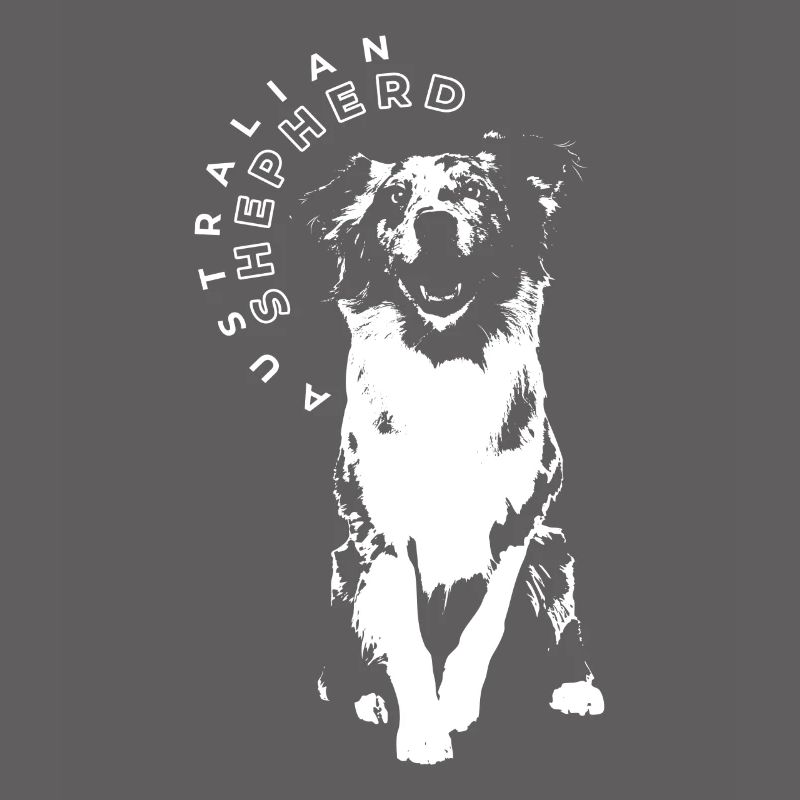 Australian Shepherd Aussie Hund